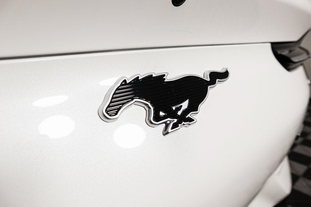 2023 Ford Mustang Mach-E California Route 1