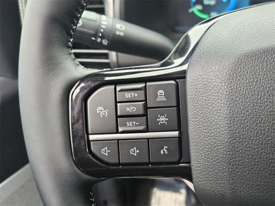 2025 Ford F-150 Lightning Platinum®