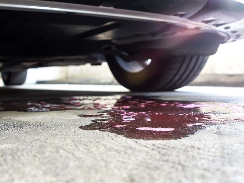 Ford Engine Oil Leak